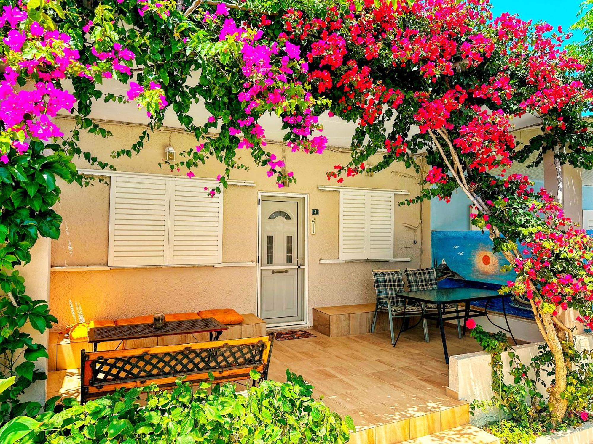 Salora Studio-Apartments Αρχάγγελος Εξωτερικό φωτογραφία